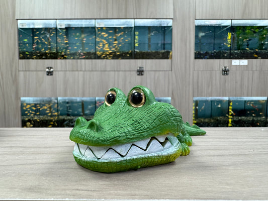鱷魚氣泡