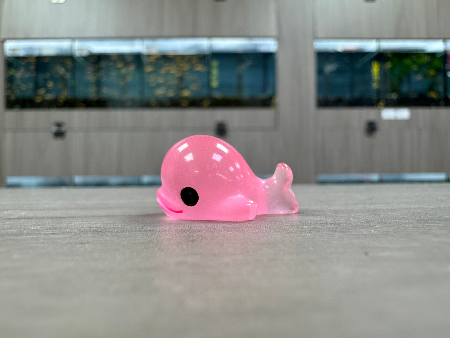 夜光小鯨魚