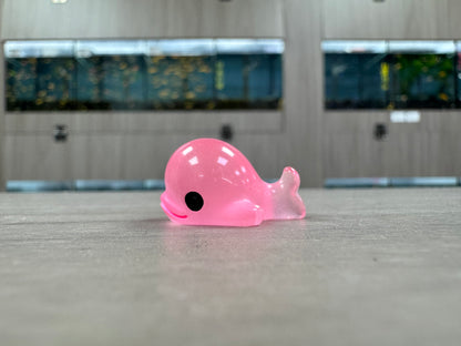 夜光小鯨魚