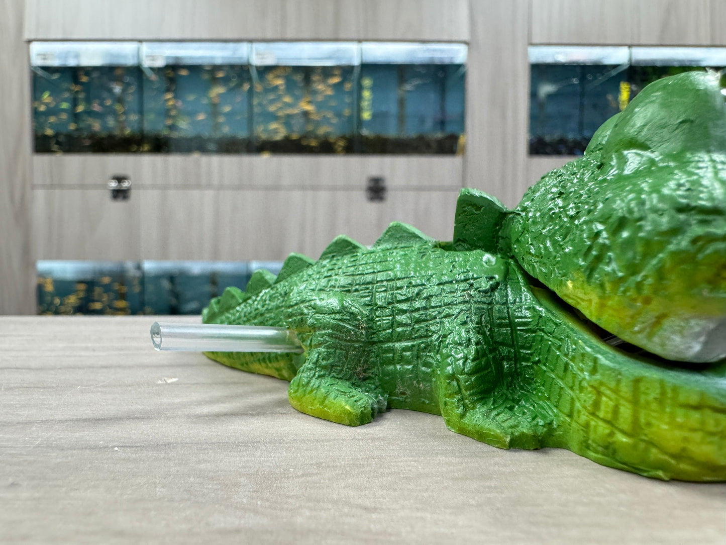鱷魚氣泡
