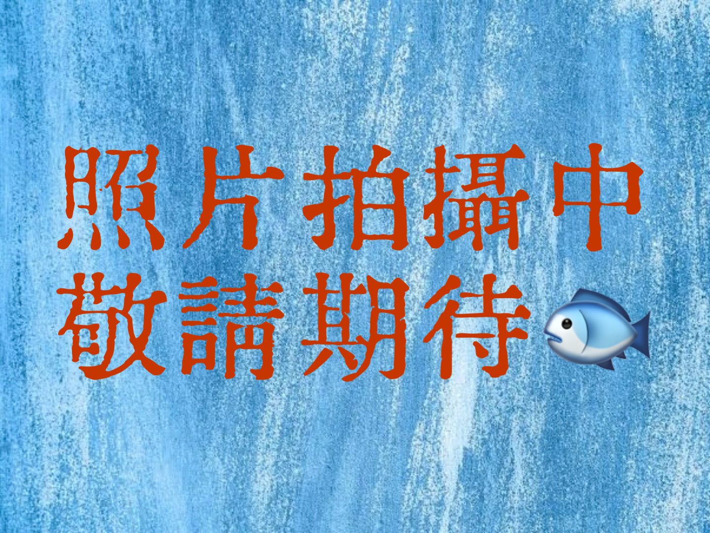 紅帆鼠