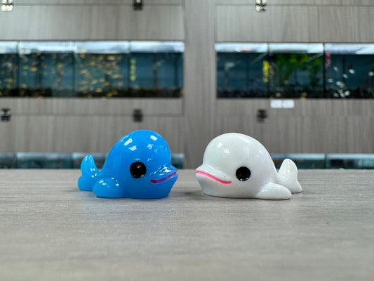 鯨魚(無夜光)